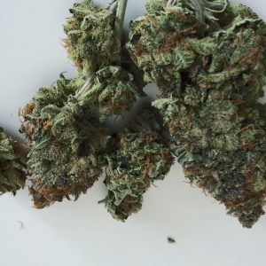 Indica dominant hybrid 10th Planet strain produced by crossing the legendary Planet of the Grapes and Quattro Kush strains