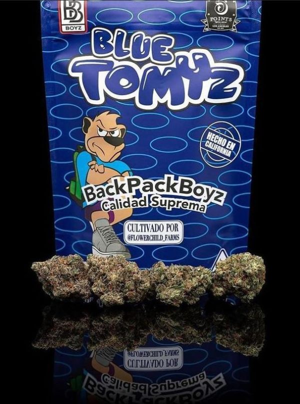 Blue Tomyz BackpackBoyz