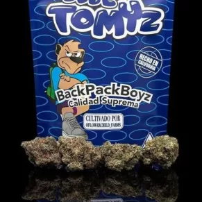 Blue Tomyz Backpacks Boyz