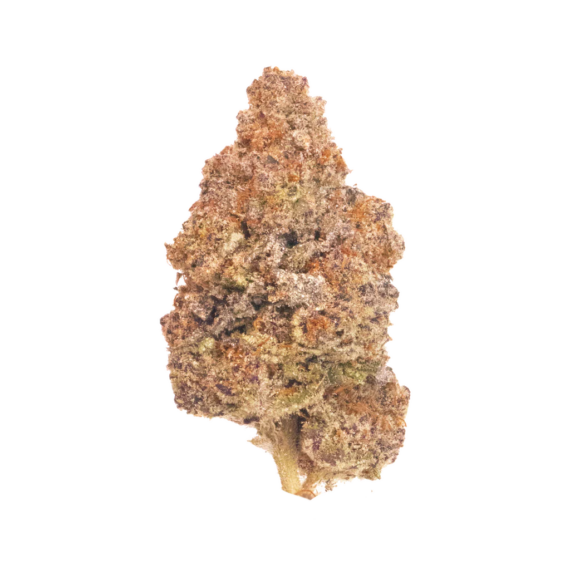 black truffle strain