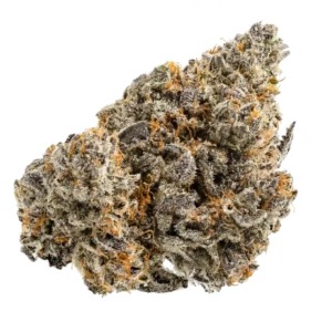 orange crush marijuana strain