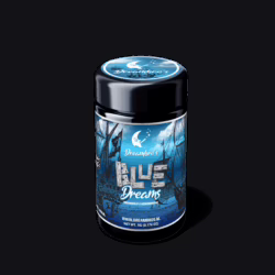 Blue Dreams strain