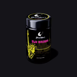 OLD-DREAMS Strain by Dreambro's